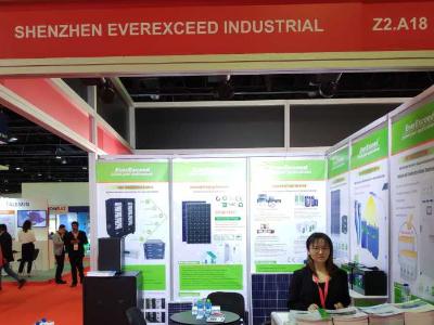 永新能高性能产品亮相中东国际太阳能光伏展览会