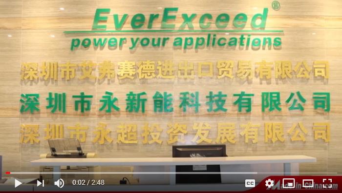 EverExceed 公司简介